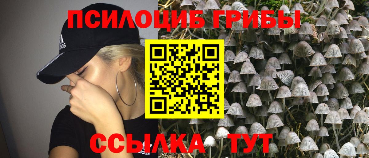 Галлюциногенные грибы Psilocybine cubensis  Вход с VPN  Муром 