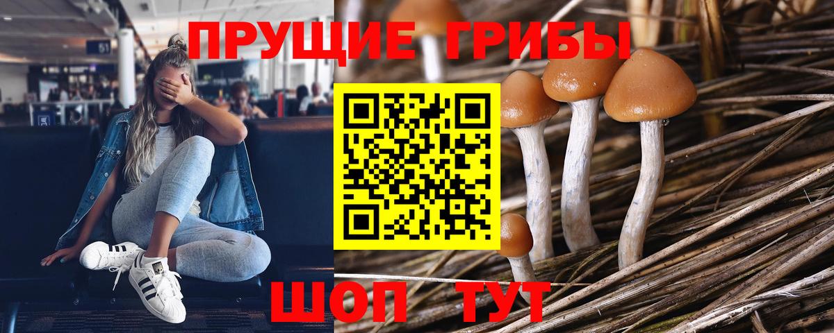 Псилоцибиновые грибы мицелий Муром